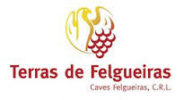 Terras Felgueiras